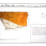 Antiche carte