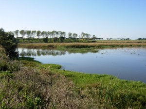 oasi 2006