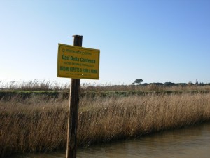 oasi 2007