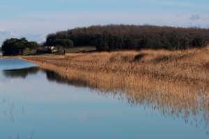 oasi 2015