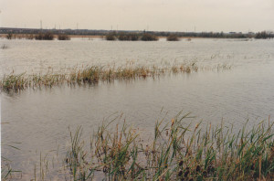 oasi aprile 1988