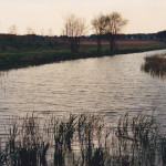 oasi aprile 1988