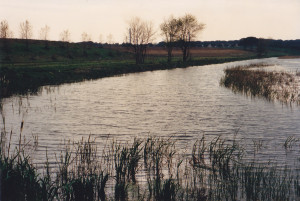 oasi aprile 1988