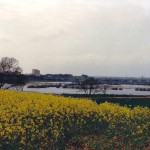 oasi aprile 1988