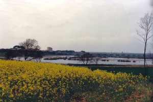 oasi aprile 1988