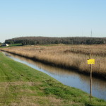 oasi 2008