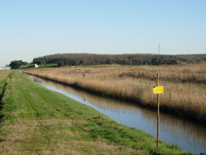 oasi 2008