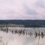 oasi settembre 2003