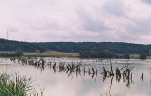 oasi settembre 2003