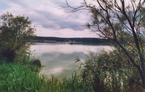 oasi settembre 2003