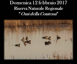 domenica 12 febbraio 2017: apertura gratuita fotografi