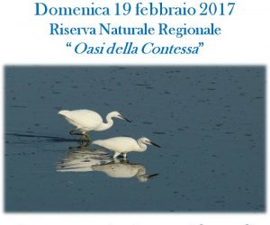 domenica 19 febbraio 2017: Foto-Natura