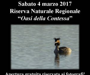 Sabato 4 marzo 2017: Tramonto fotografico