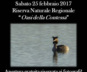 Sabato 25 febbraio 2017: Tramonto fotografico