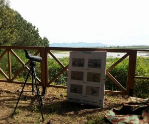 Giovedì 11 maggio 2017: uscita di fine progetto con GAIA
