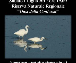 sabato 1 luglio 2017: Foto-Natura in Riserva