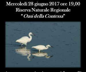 mercoledì 28 giugno 2017: Foto-natura in Riserva