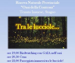 venerdì 12 giugno 2015: Tra le lucciole