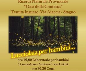 sabato 20 giugno 2015: Tra le lucciole