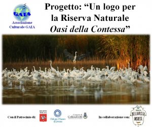 A.S. 2016-2017: Progetto “Un logo per la Riserva”