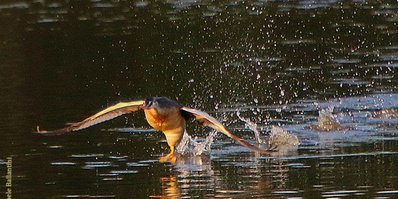 IMG_4090