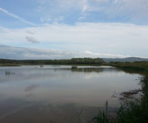 Tra cielo e acqua