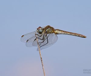 Con le macro non ci si annoia mai…
