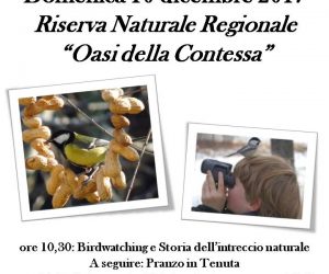 Domenica 10 dicembre Birdwatching, storia dell’intreccio vegetale e birdgardening