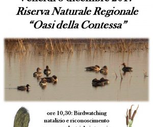 Venerdì 8 dicembre Birdwatching natalizio e piante da intreccio