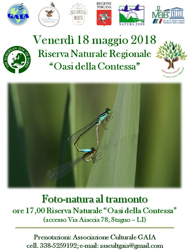 18 maggio