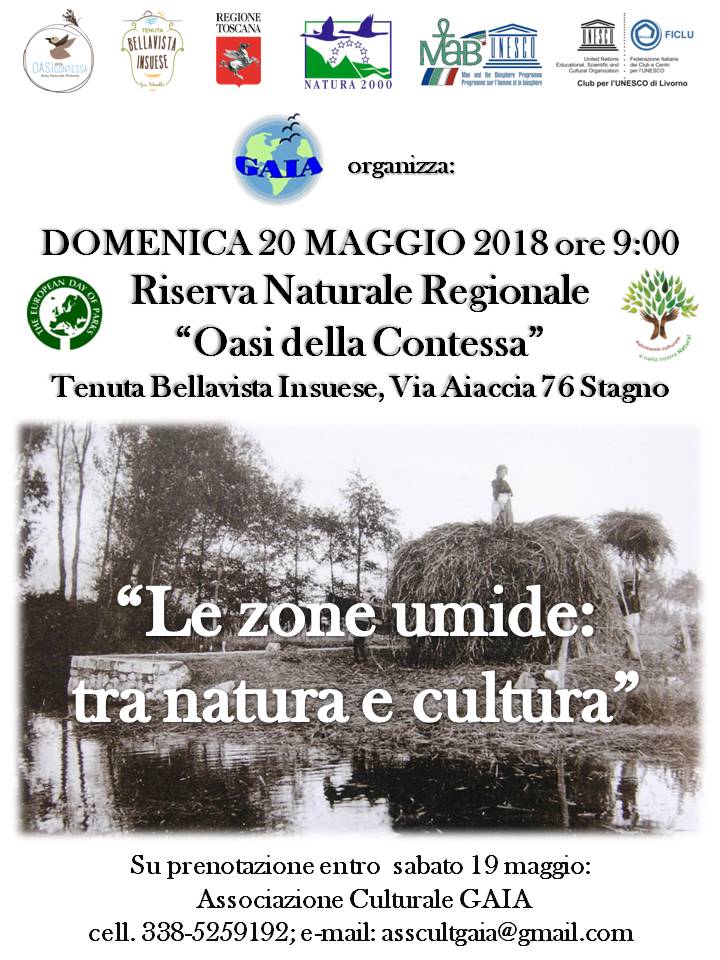 domenica 20 maggio