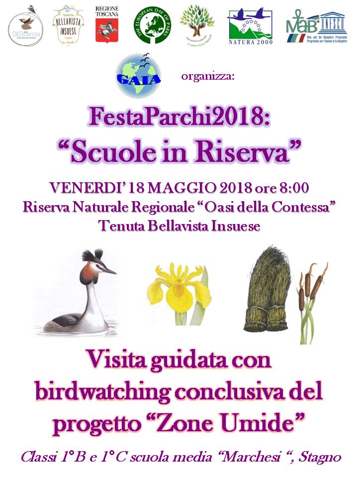 venerdì 18 maggio