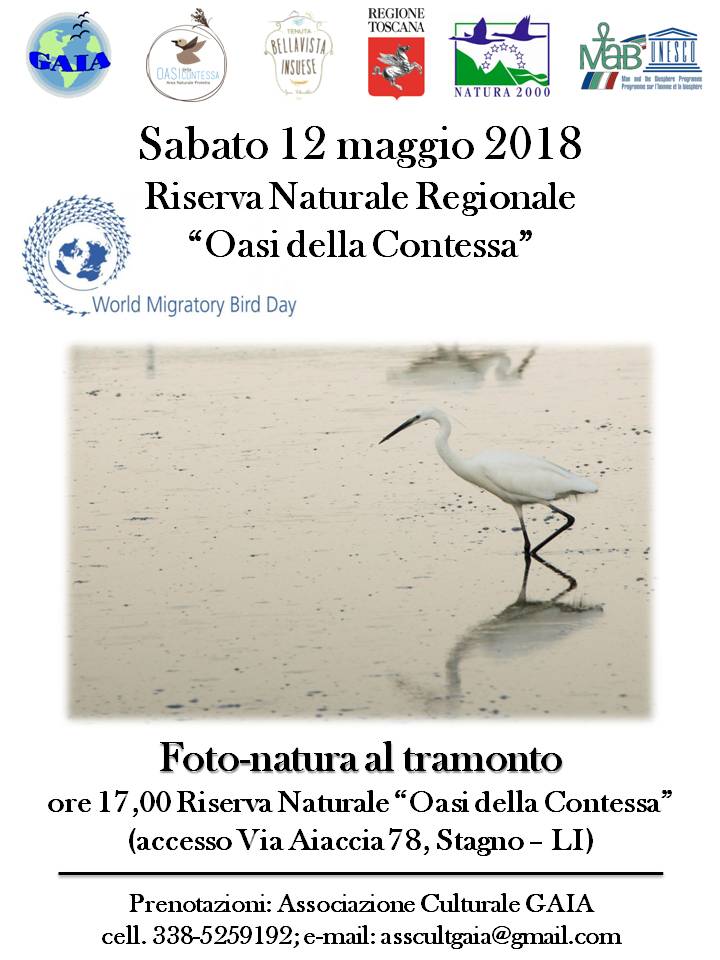 wmbd2018