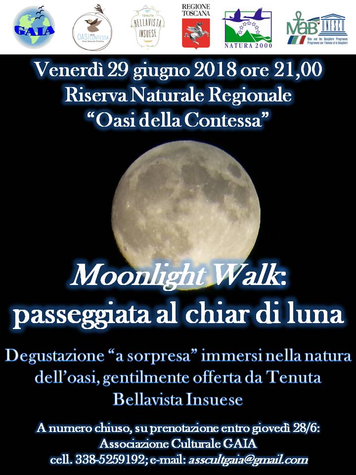 moonlight walk 29giugno2018