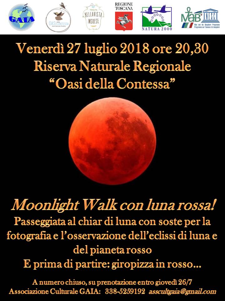 moonlight walk 27luglio2018