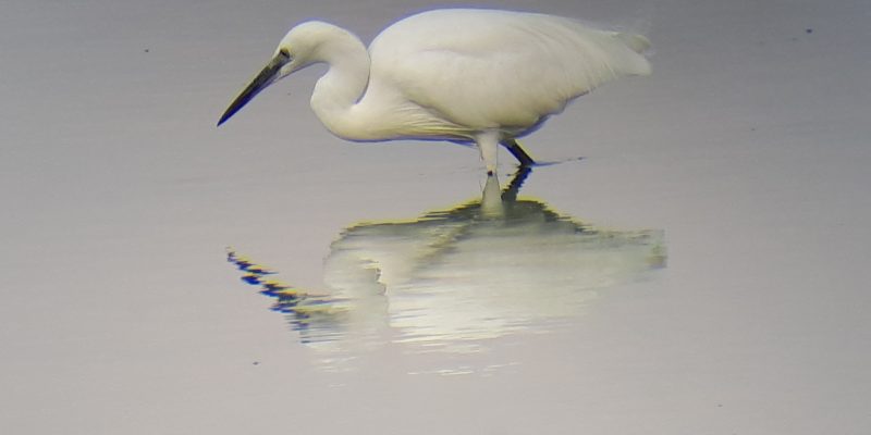 20180807_182353