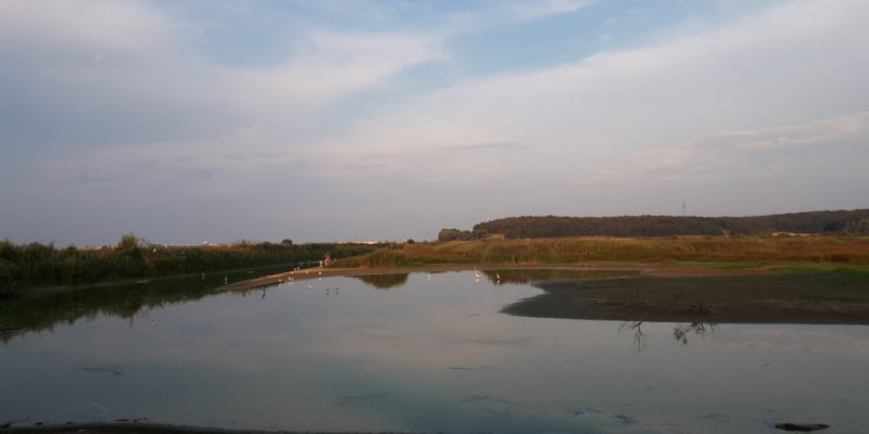 PANORAMA