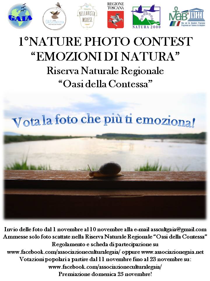 1° nature photocontest