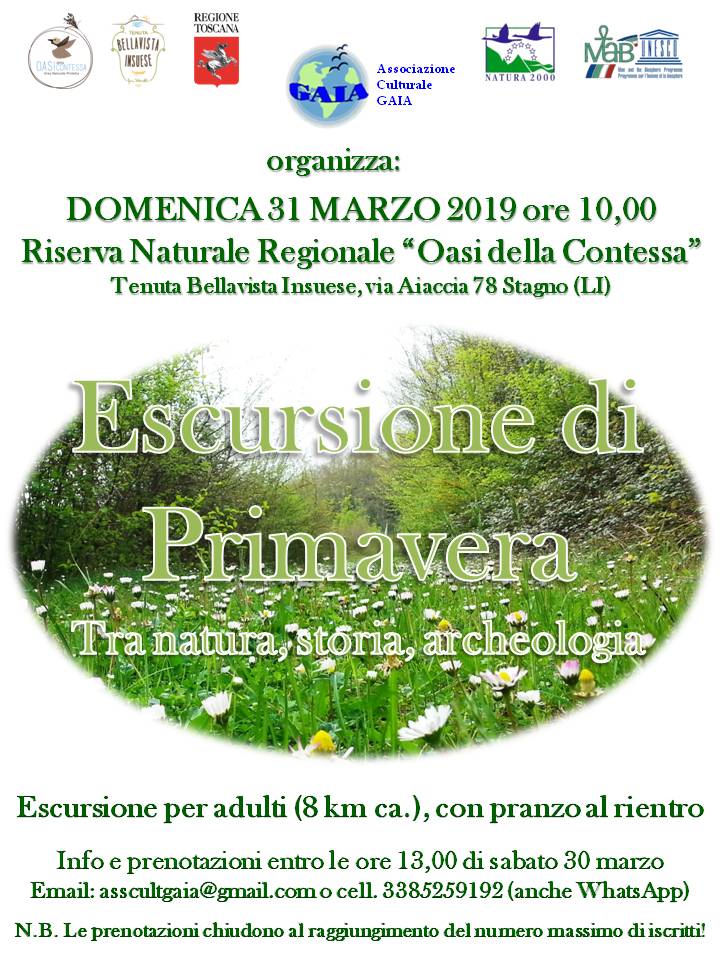 31 marzo 2019