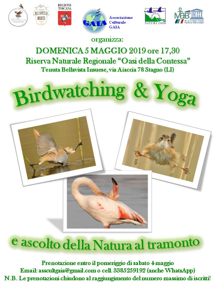 5 maggio 2019