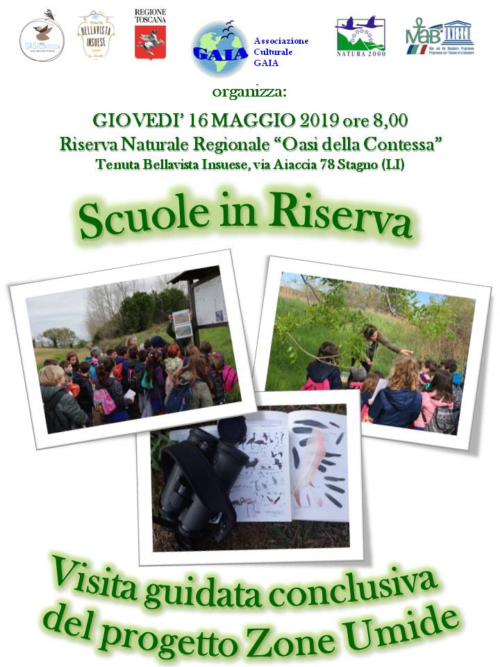 16 maggio 2019