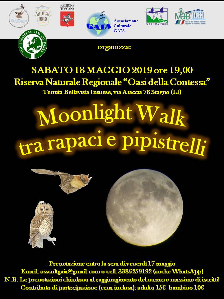 18 maggio 2019