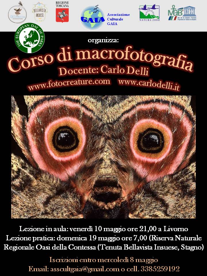 19 maggio 2019