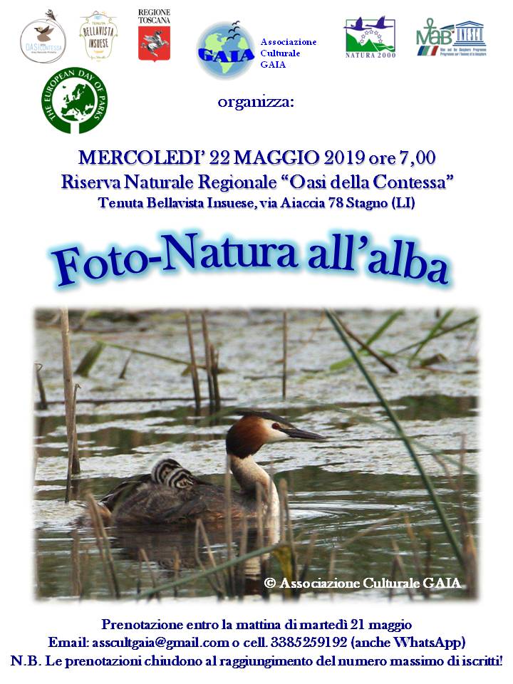 22 maggio 2019