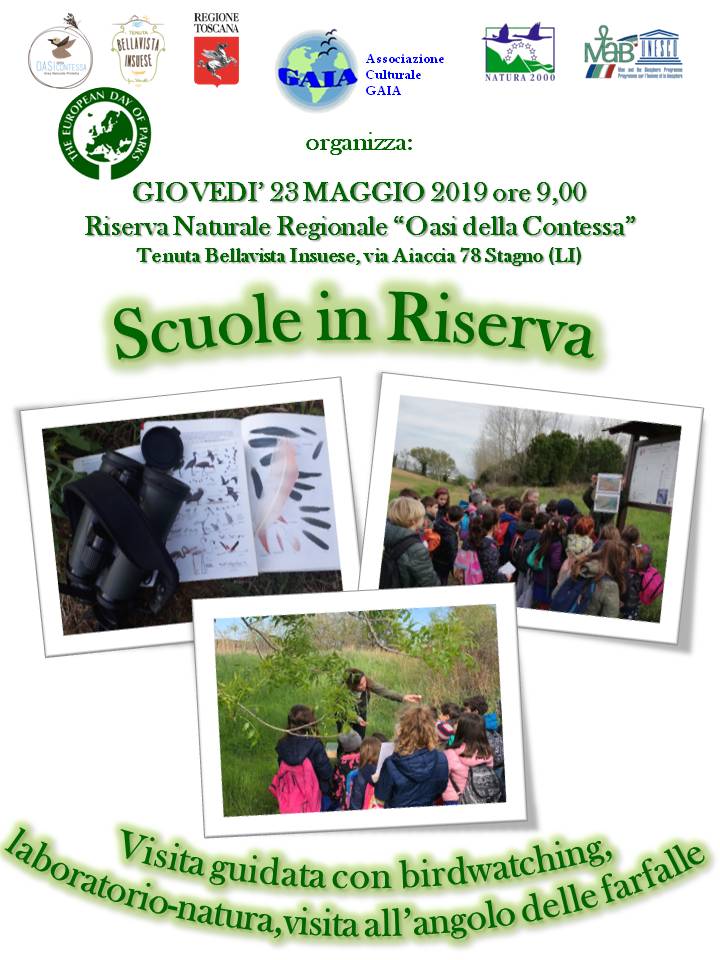 23 maggio 2019