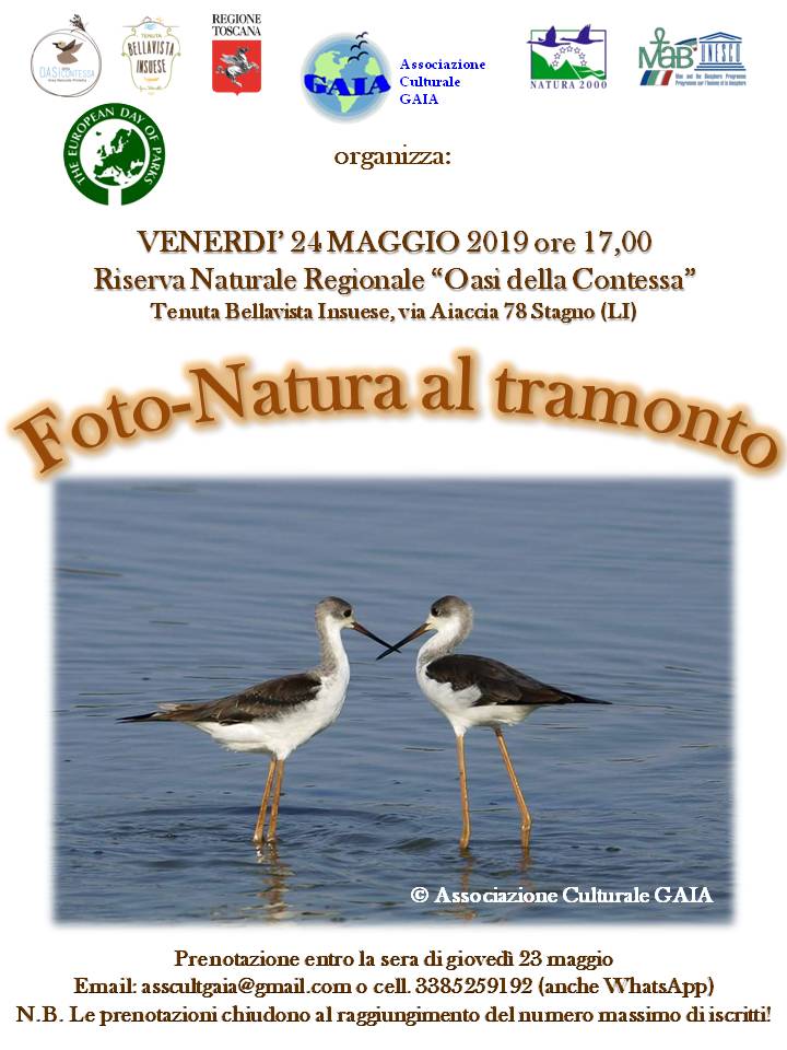 24 maggio 2019