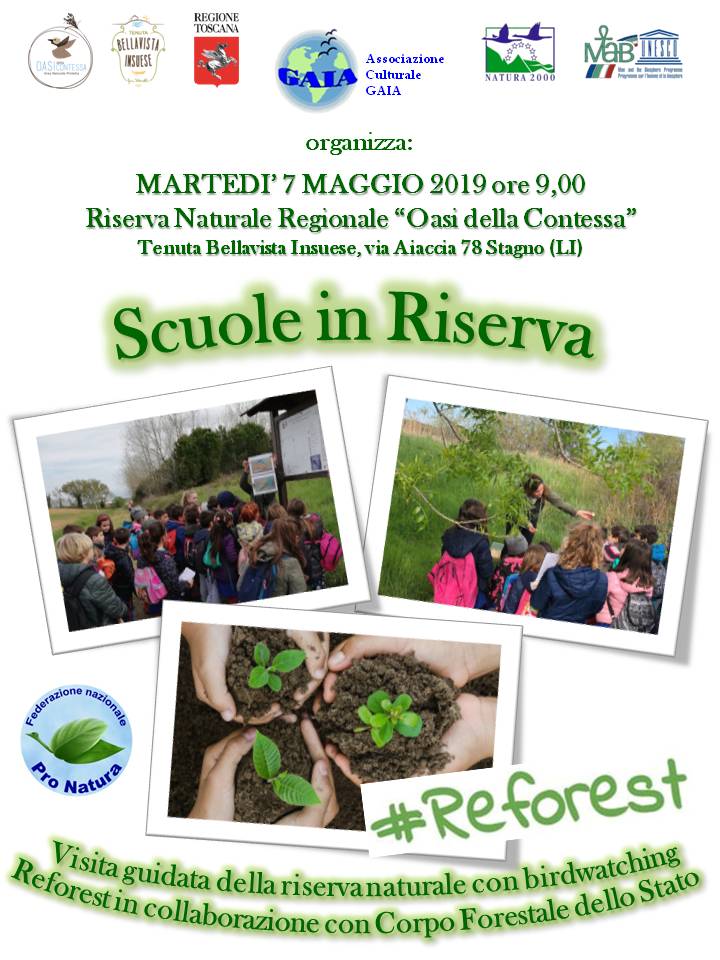 7 maggio 2019
