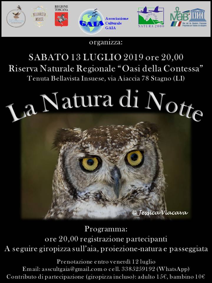 La Natura di notte