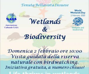 Wetlands & Biodiversity – domenica 2 febbraio 2020