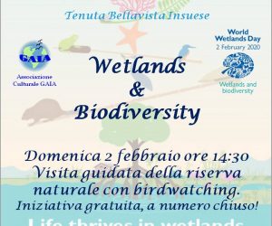 Wetlands & Biodiversity – domenica 2 febbraio 2020